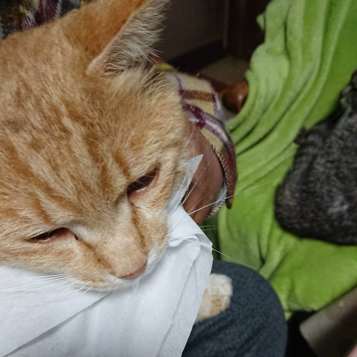 E74fcd91 4f29 471e a5f4 273adb9788fe 1589062117211