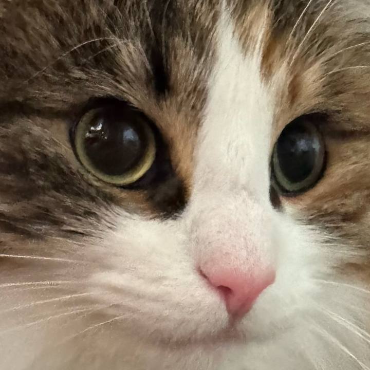 E74fd00e b09e 4b95 a4e4 f768a1fd1b98 1774072505781