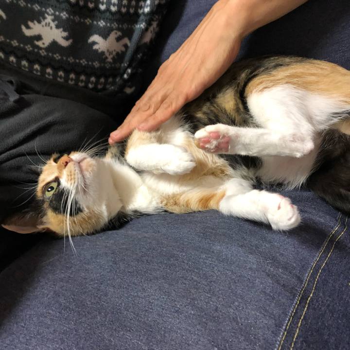 E7503ca4 6a15 410e bdcc 4eea9a369707 1554813964870