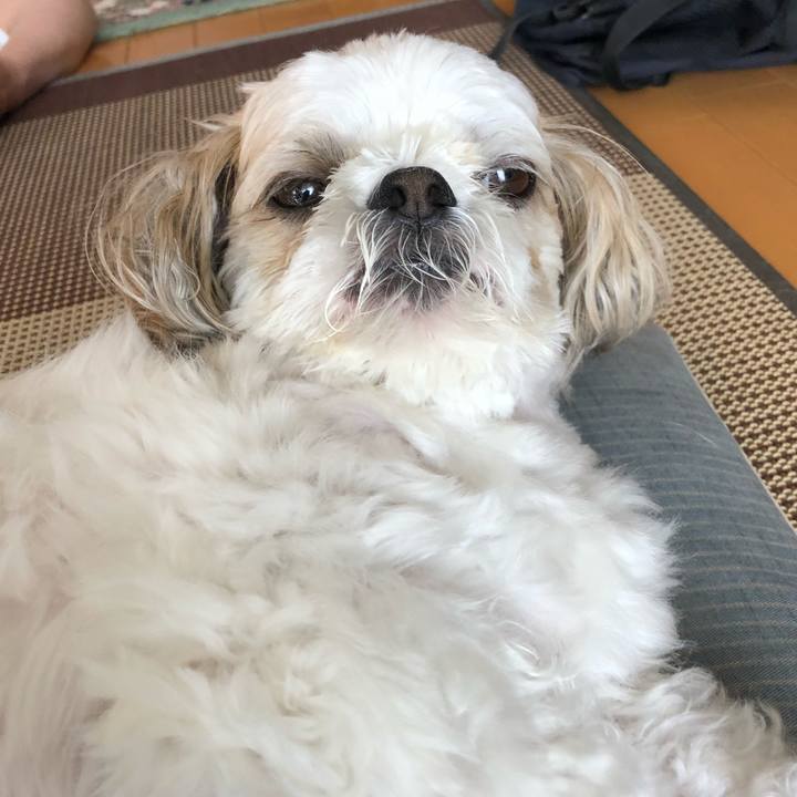 E7507fb4 795d 4e79 a151 df47670da040 1533073070150