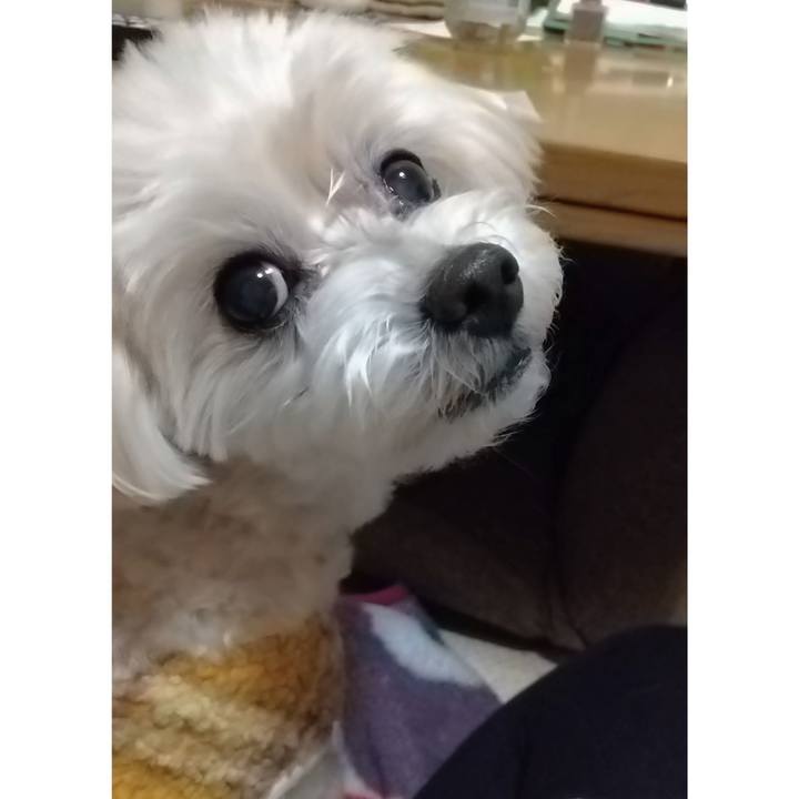 E750a4e6 fff6 40f7 af17 264a905c273b 1642158777355