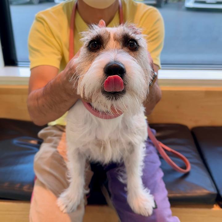 E7514866 f920 4fc4 b946 3c432a0fb18e 1693213089398