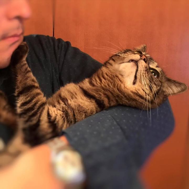 E75171a6 d0e0 4b75 8f99 e3d5118d6f69 1776499247455