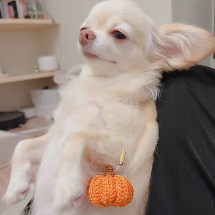 E7517487 a2a2 4d51 88c9 3e204f0a17ff 1761280771450