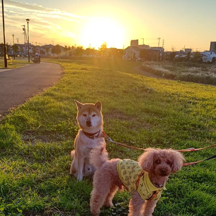 E7519526 e98a 4854 be89 69a06799ed1b 1604564649338