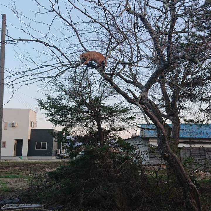 E751a321 60bb 48a5 a99b 777abd8ce9b5 1650187357303