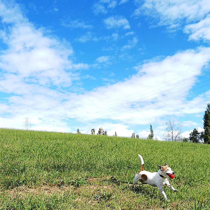 E751a516 c22c 4dc1 9d60 d5eda25c3a6d 1538889074893