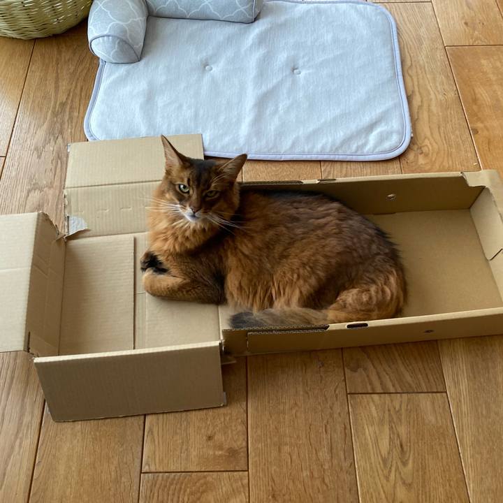 E751ff2c f704 4759 8c59 08c466210912 1721949309931