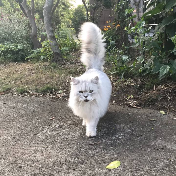 E7521696 78f2 4355 a888 638aef029cb2 1623316075141