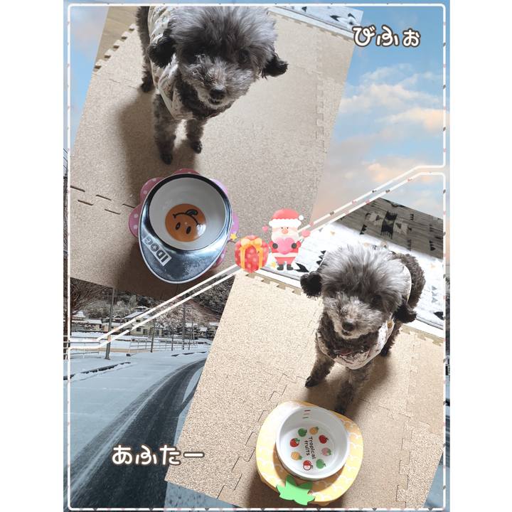 E75228b3 1495 448b 8eeb 937e5cafe1ea 1672039647279