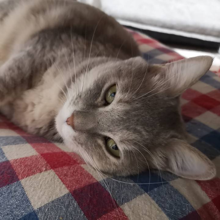 E7522b87 6d61 4d86 b772 54b85eabca3e 1570263788824