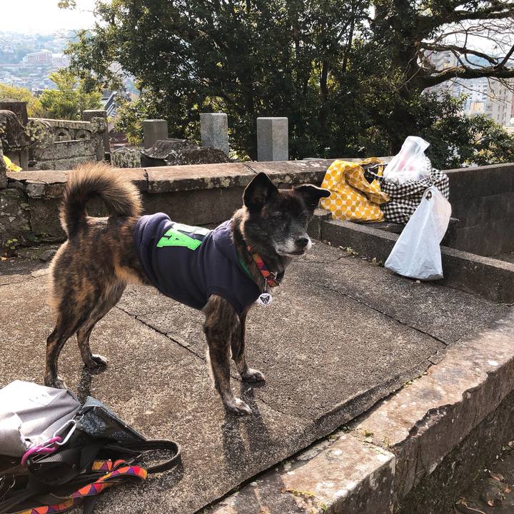 E75234bf 776e 4564 8bab d8ab0fa824d9 1578143007450