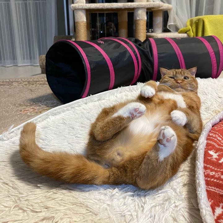 E7524660 bba3 4b36 bef3 e2f6041de772 1614604129539