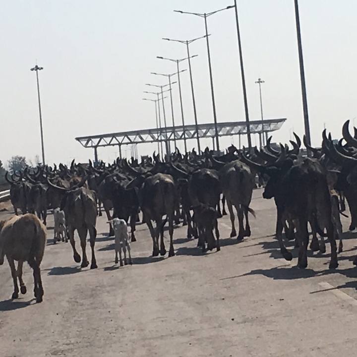 E752d123 cee6 4f0e 9552 7a44348ffa66 1550679451010