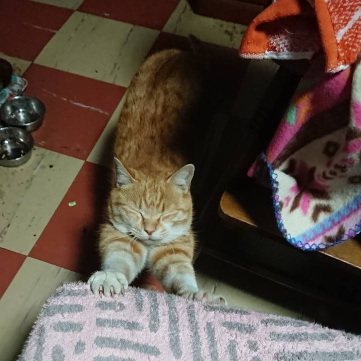 E752f89a d8e2 4092 a048 1070dee2ba13 1584907677040