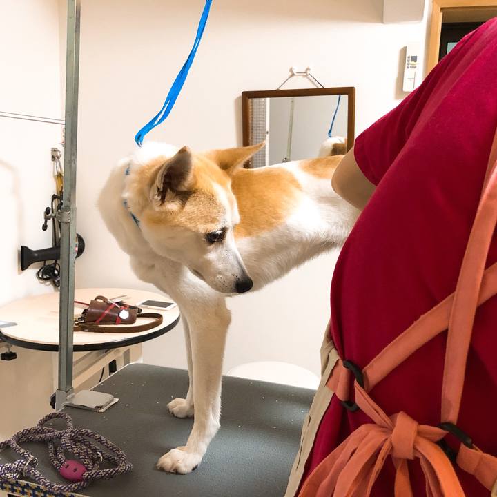 E7531244 c474 4903 83ae 16aa7db7a1f2 1591918801739