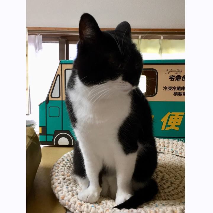 E7531f30 07a9 4700 a211 404c44f44f20 1540962142227