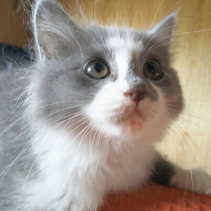 E7533317 7220 4758 9e42 ea78225a0c6b 1561340438487