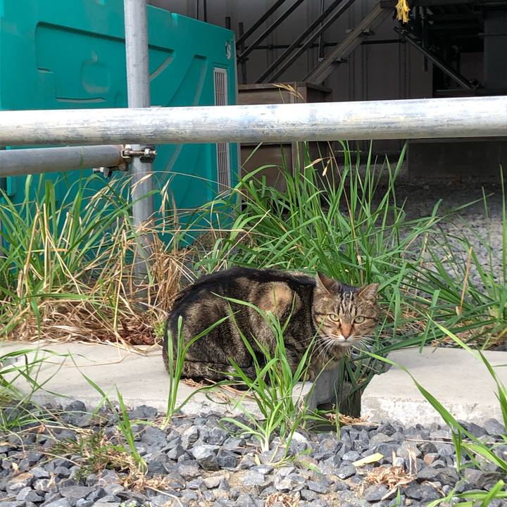 E7533423 a885 4d85 8cb3 d905fa159cb7 1544460504880