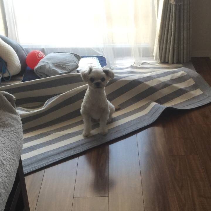 E75343db 4d66 4c69 b241 70ad5f1ace14 1518011582729