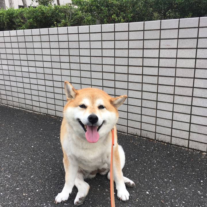 E753449e 57cb 4ca9 8c2e 0ae03bdb15a2 1602558182369