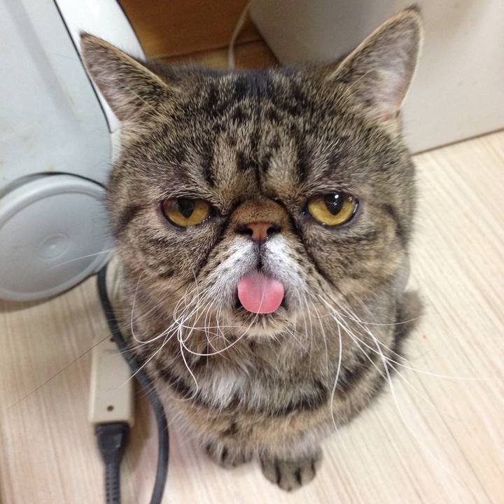 E753607f de3e 4c61 b456 f4bbb1fac5f3 1513933272554