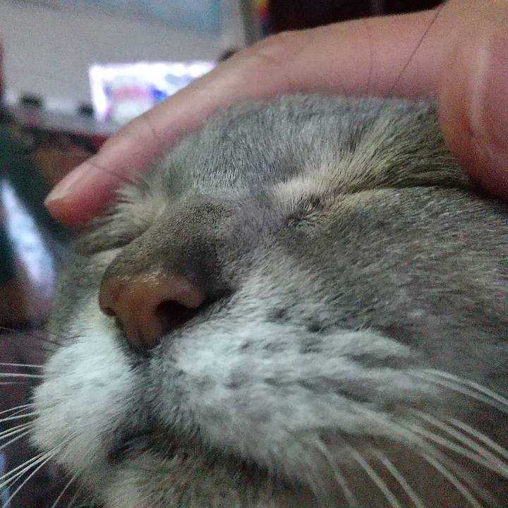 E7537838 eab2 455c 8ff5 54fc74a31bc8 1673245343875