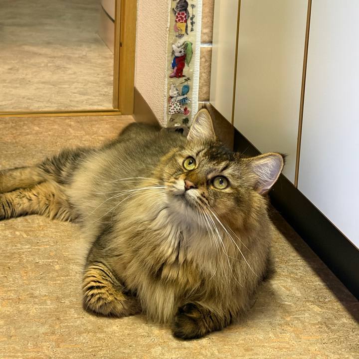 E75387c2 dcdd 4608 a503 9f0728135a68 1758687012902