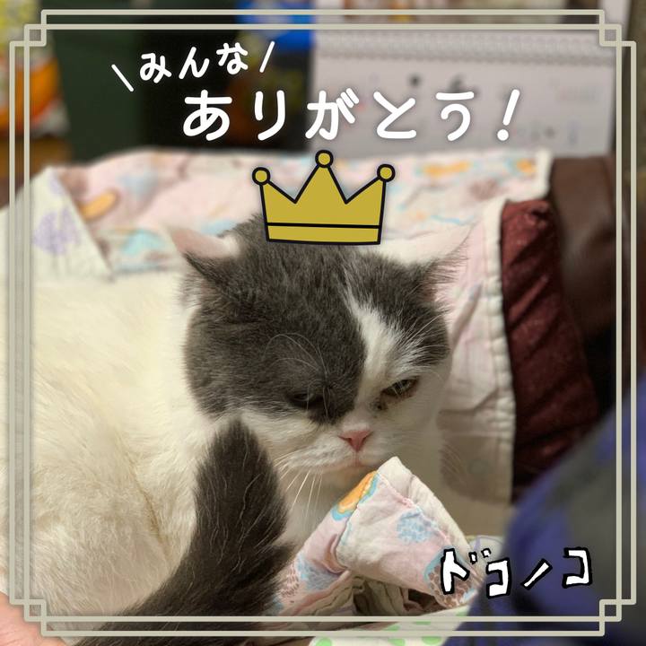 E754136b cbb3 4dd9 b5c7 be6d73d0461a 1622954349753