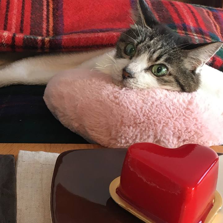 E754a075 15aa 469e 812d 85f3455b2b9c 1518538339143