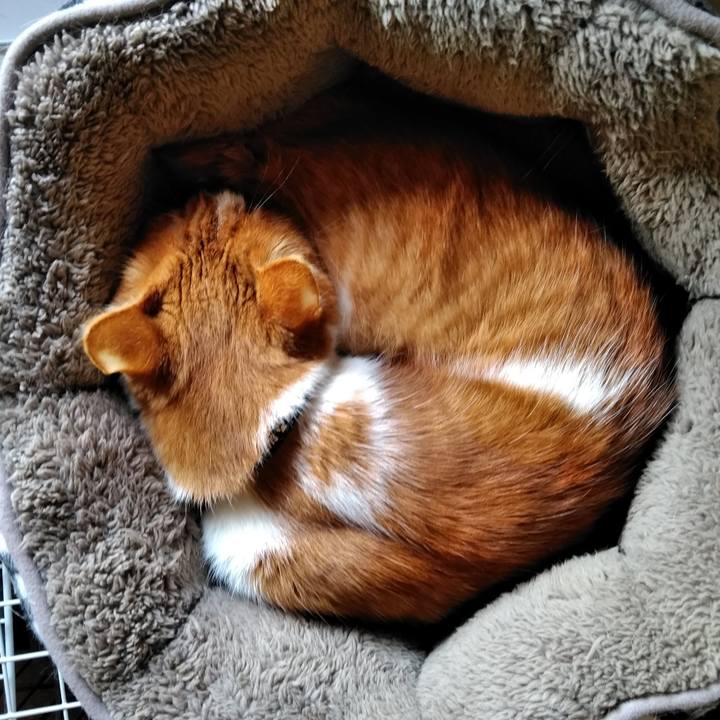 E754d46d dcca 463b 97b2 50d8734b19fa 1555801139188