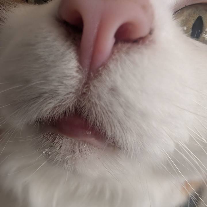 E754eb7d cda7 4483 b7b8 c87451ca7a52 1767846407072