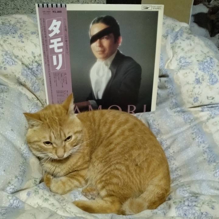 E7550ad0 7d91 41f5 a783 ab229c09d3be 1665319294351