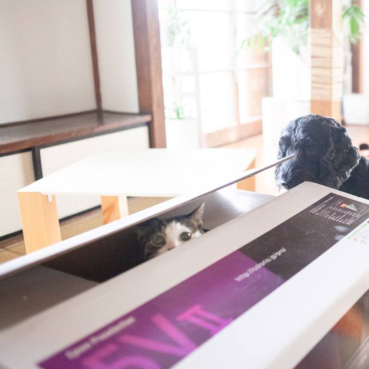 E75517e7 a78b 4505 bffd aafc79f68b50 1558321176639