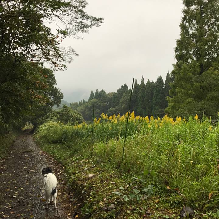 E7551d28 d0a8 4aaf 992a 7cf1a2ac1297 1508291941420