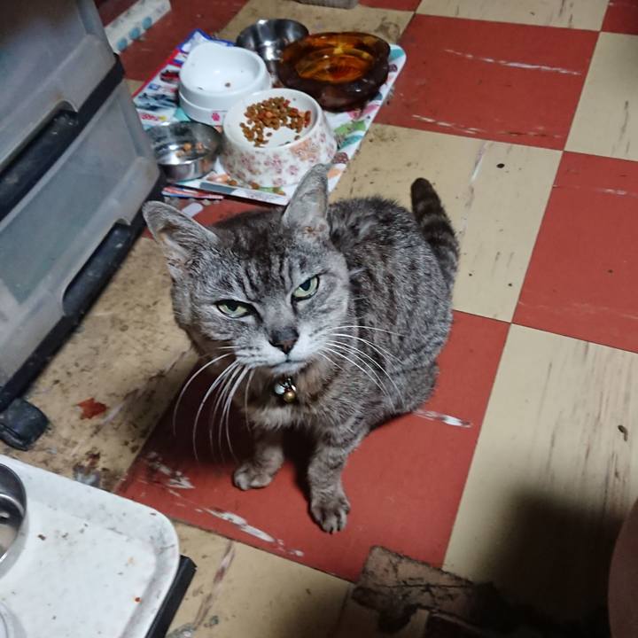 E7553cfb d804 4e00 9694 b11990cb27f0 1595791704265