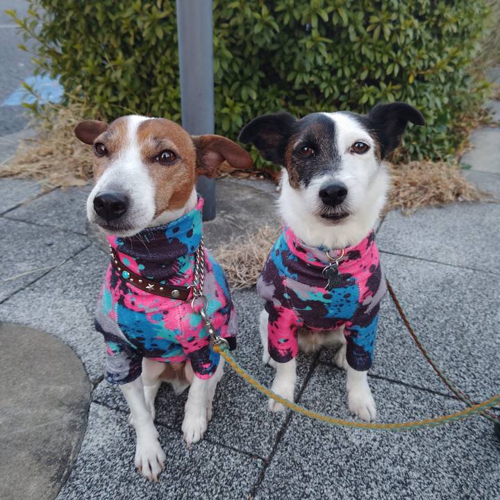 E75549da 9150 4985 8978 1e7ad2f84e72 1739224546594