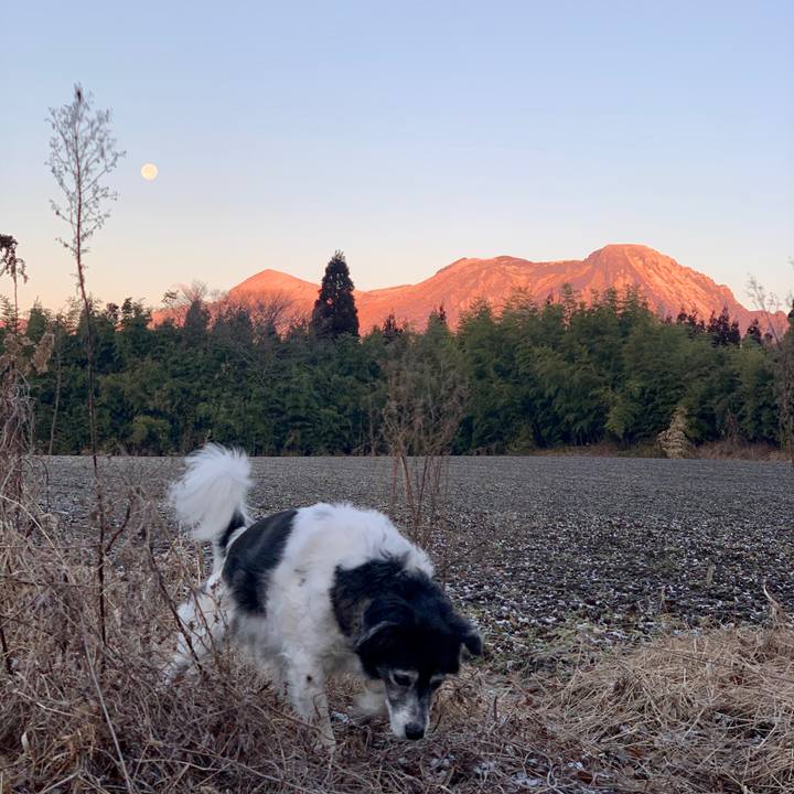 E7558de1 4659 46ac 8e1f 71fa0cafaa17 1612010465442