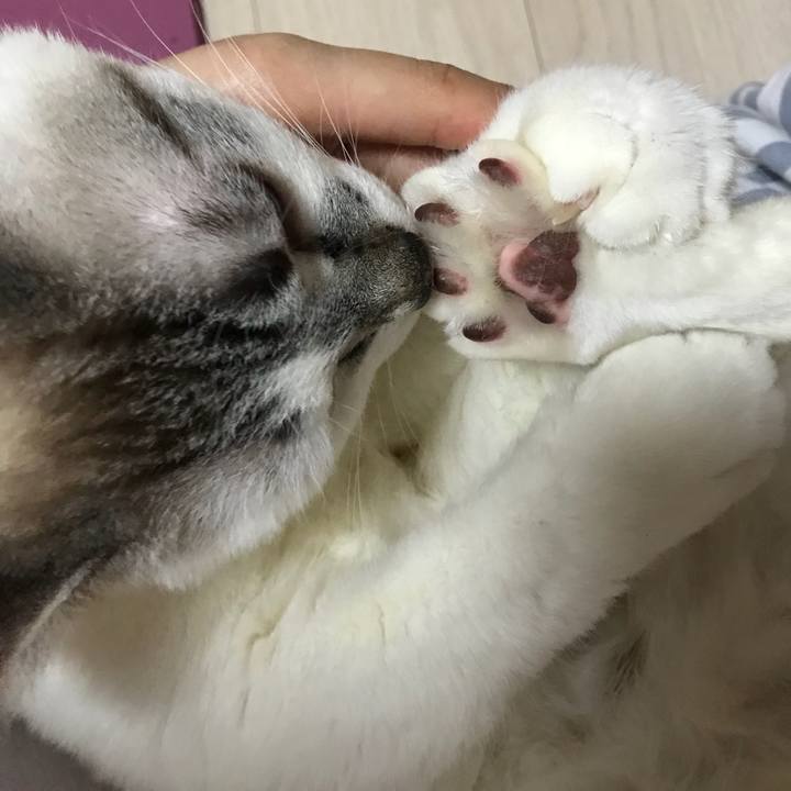 E7559d8e e3db 434a af5e b7d4a5936c2c 1525479504260