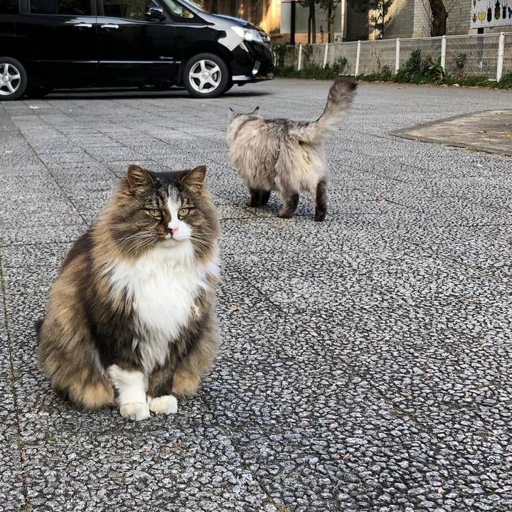 E755b1e3 f762 4068 bfcb 7d0f6c5675c5 1514212093808