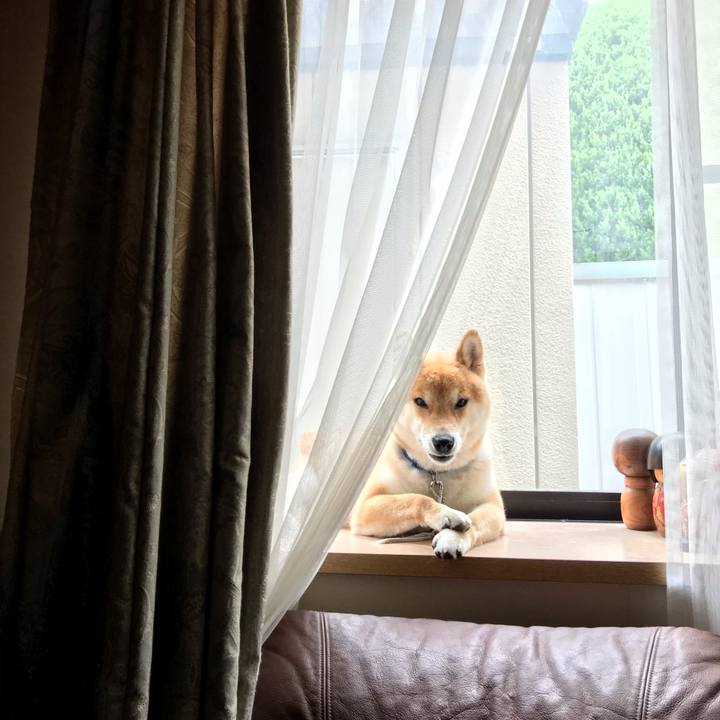 E755bafe dd24 4886 bb23 4c9890c5b4e7 1558151639990