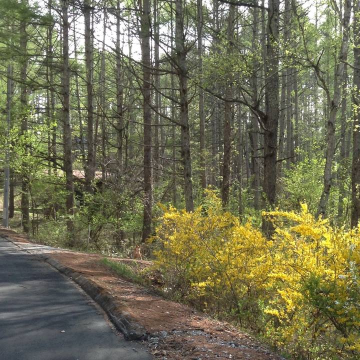 E755ebdd 1055 4b3c b255 ef3de0409f4e 1524809454648