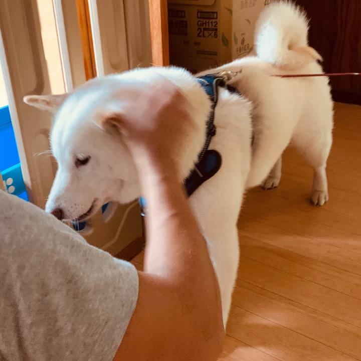 E755f141 7b3f 4950 a32f 71fe1a668a56 1628603073105