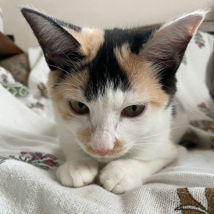 E755f55a 32a1 4454 adb6 ac65ba45ffe1 1665278364153