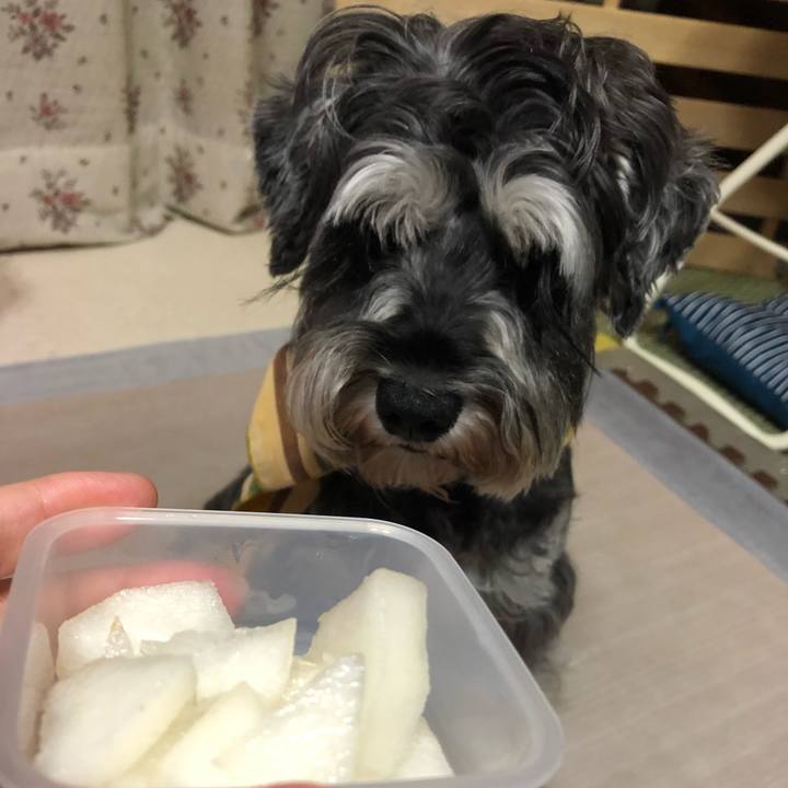 E75601f7 3e04 4fc9 9501 2c918bc48a6d 1630242068148