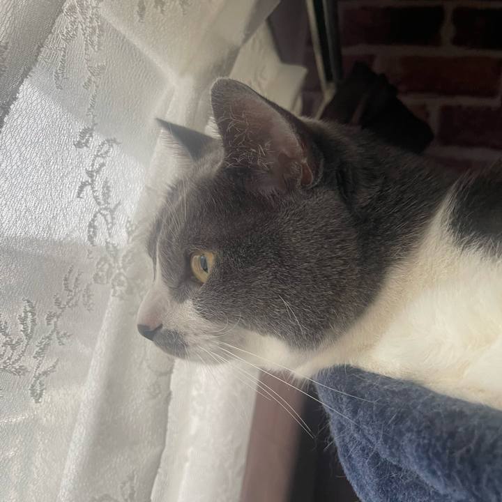 E756088a 9b09 4b47 87ee 8b17bafb7b5f 1687995878158