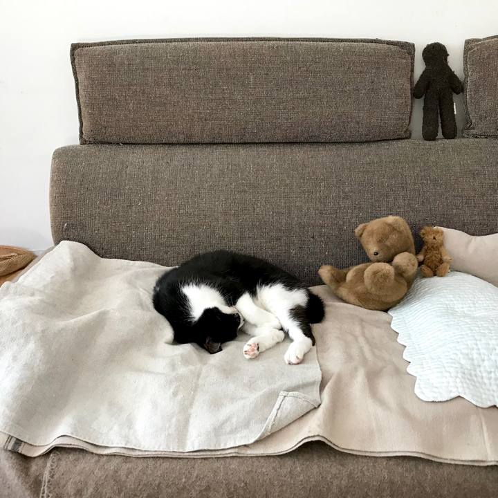 E7560a65 4bf2 440f 9fa3 0a35ad619d30 1520842724886