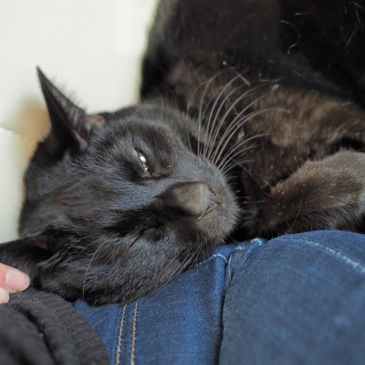 E7560f1a 139b 4d99 8faf 9735ceb17078 1545350861311