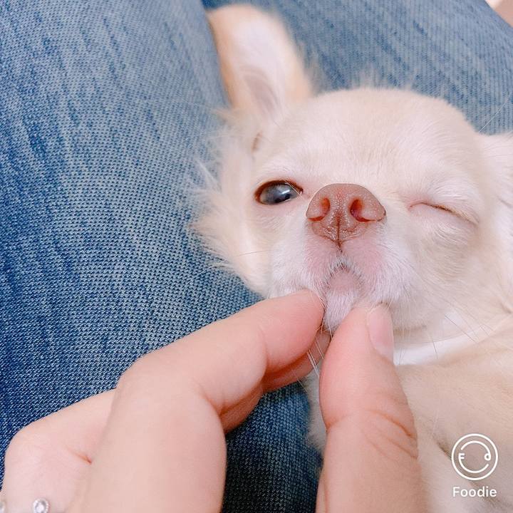 E7561b0a 70fa 480a 912e fd74bc580101 1600238159025