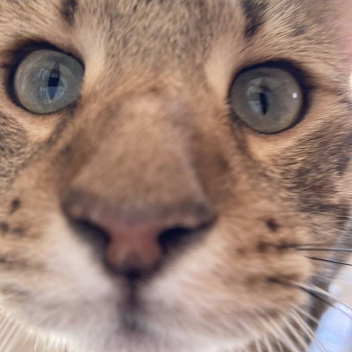 E7566fdf e6af 469c a5a1 9d5c2f4ea7b3 1603113372045